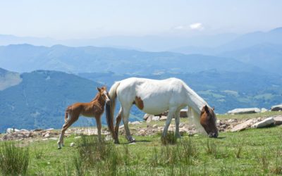 Hiking in the Basque Country : 10 dos and don’ts